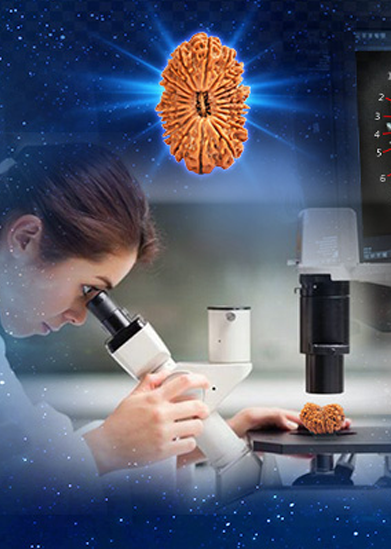 rudraksha testing